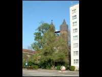 nanip_DSCF0078.JPG