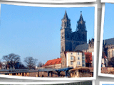 am dom 001