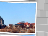 am dom 002