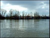 DSCF0084.jpg