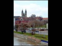 DSCF0094.jpg
