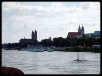 dom41