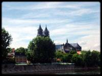 dom51