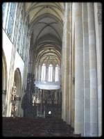dom56