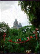 dom_sat016.jpg