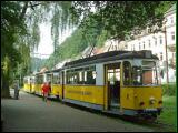 kirnitzsch02.jpg