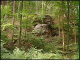kirnitzsch15.jpg