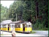 kirnitzsch16.jpg