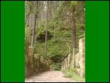 wandern03.jpg