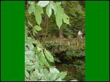 wandern05.jpg