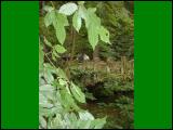 wandern06.jpg