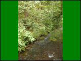 wandern07.jpg