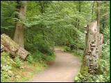 wandern09.jpg