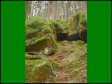 wandern10.jpg