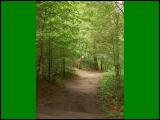 wandern12.jpg