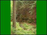 wandern13.jpg