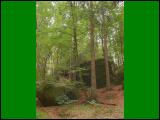 wandern14.jpg