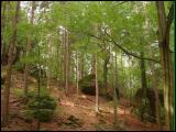 wandern16.jpg