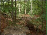wandern17.jpg
