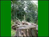 wandern18.jpg