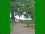 pillnitz12.jpg