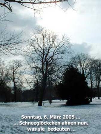 sternbruecke02