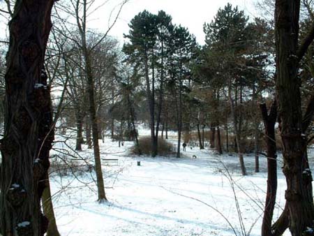sternbruecke21