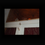 DSCF0876.jpg
