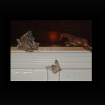 DSCF0877.jpg