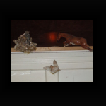 DSCF0878.jpg